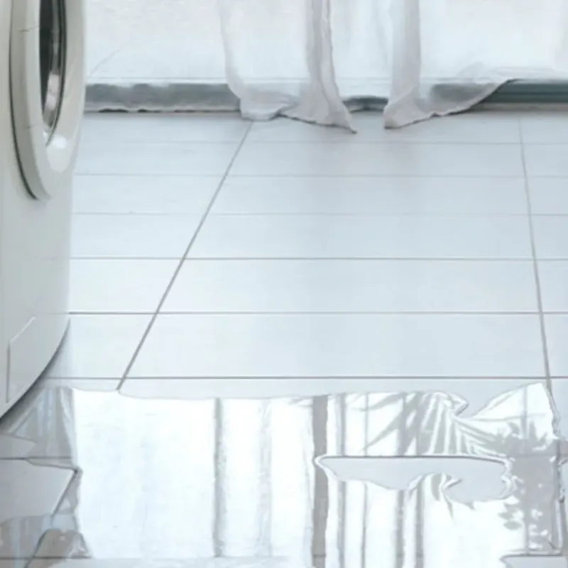 Appliance Leak Cleanup in Albany, NY