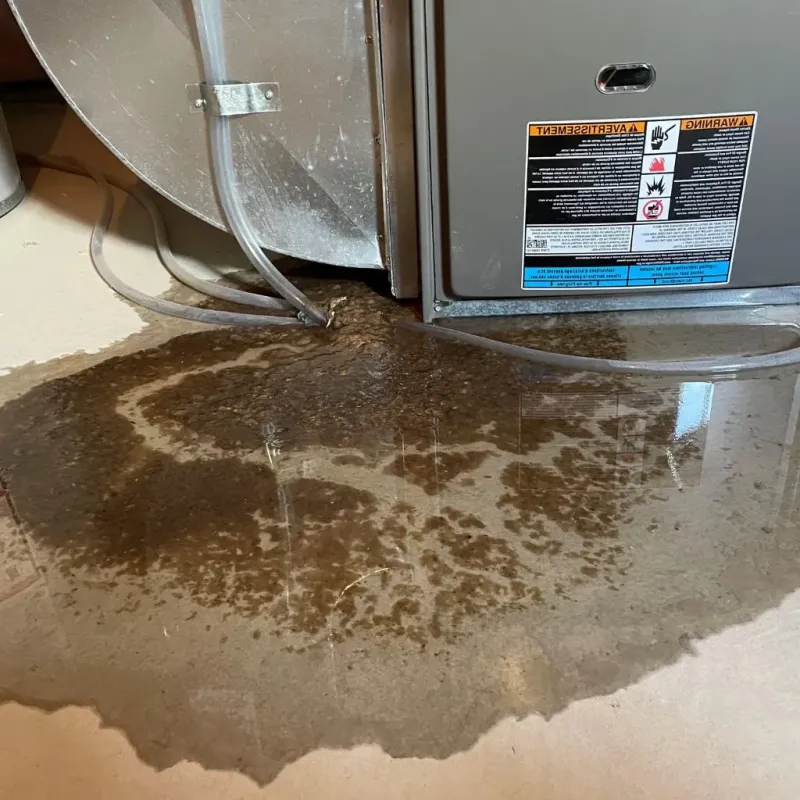 Pipe Burst and Leak Restoration in Albany, NY